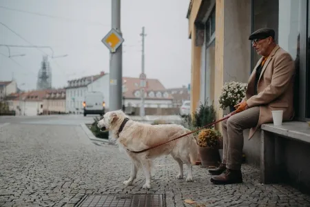 City dog life